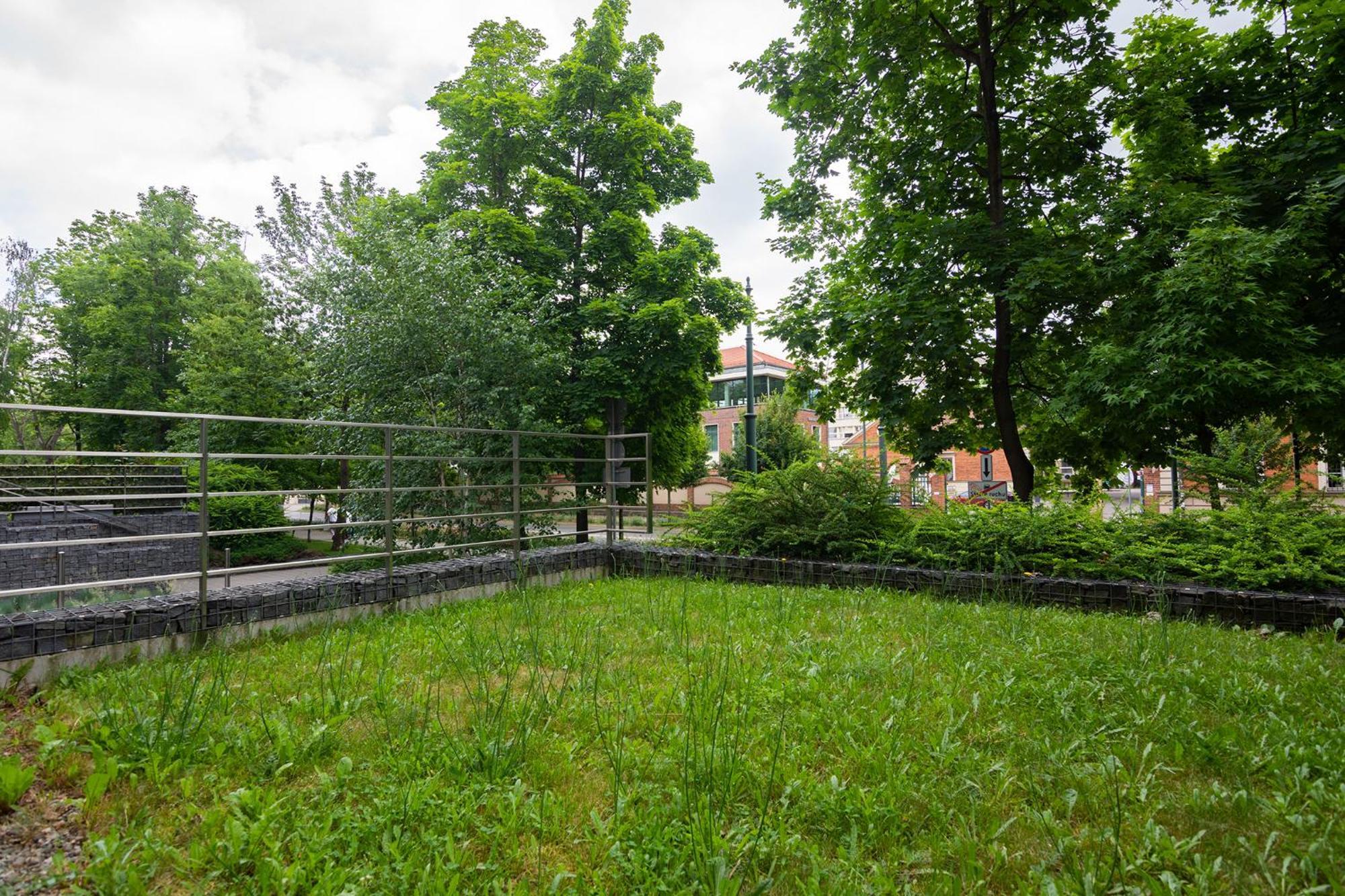 Apartments Nearto Old Town Rakowicka Krakow Exterior photo